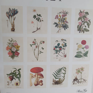 Kalender med botaniske motiver