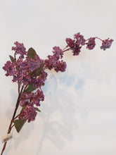 Last inn bildet i Galleri-visningsprogrammet, Silkeblomst 80 cm
