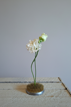 Last inn bildet i Galleri-visningsprogrammet, Blomsterfakir (Kenzan)
